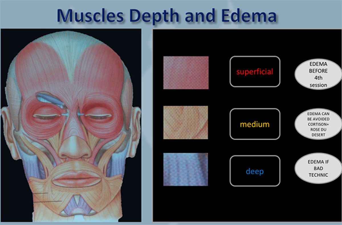 muscles depth