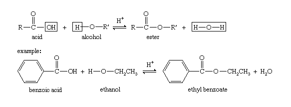 esterification reaction